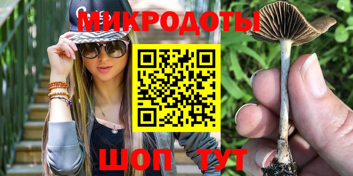 Галлюциногенные грибы Cubensis  Вход с VPN  Кисловодск 