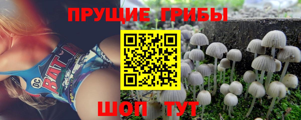 Псилоцибиновые грибы ЛСД Кисловодск